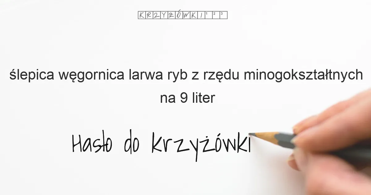ślepica  węgornica larwa ryb z rzędu minogokształtnych - krzyżówka