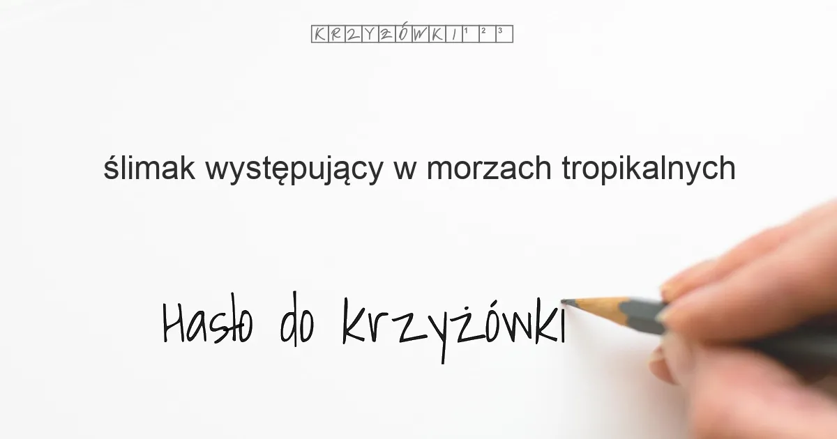 ślimak występujący w morzach tropikalnych - krzyżówka