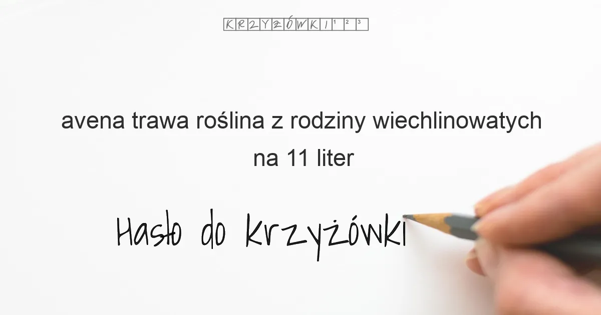 avena trawa roślina z rodziny wiechlinowatych na 11 liter - Hasło do krzyżówki avena trawa roślina z rodziny wiechlinowatych na 11 liter - Hasło do krzyżówki