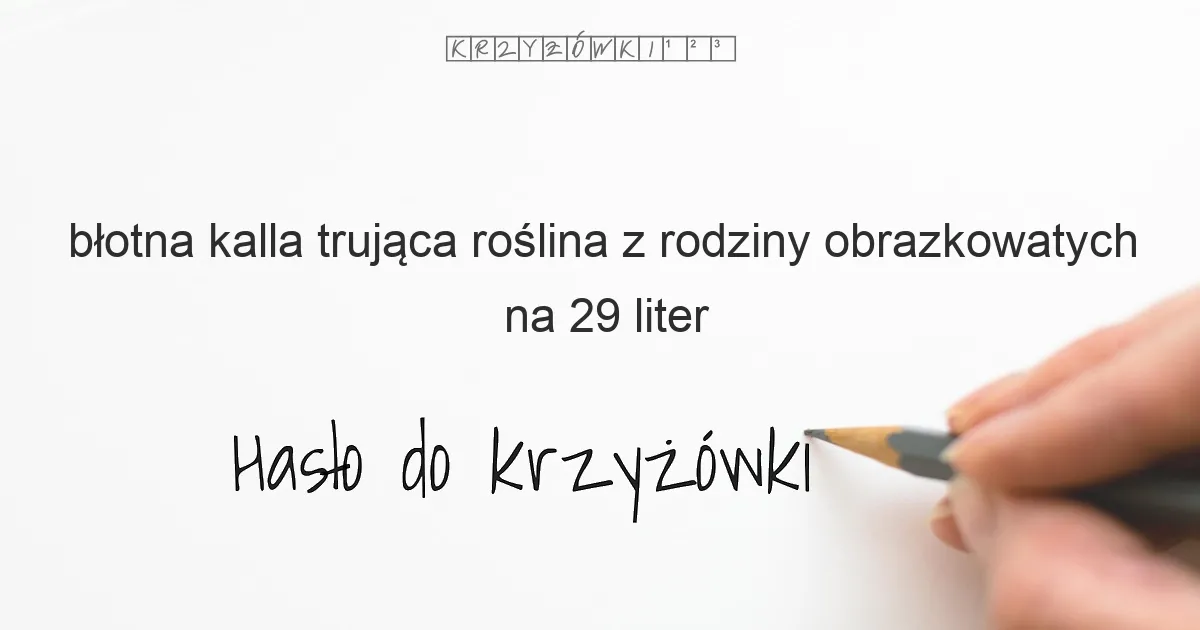 błotna kalla trująca roślina z rodziny obrazkowatych na 29 liter - Hasło do krzyżówki