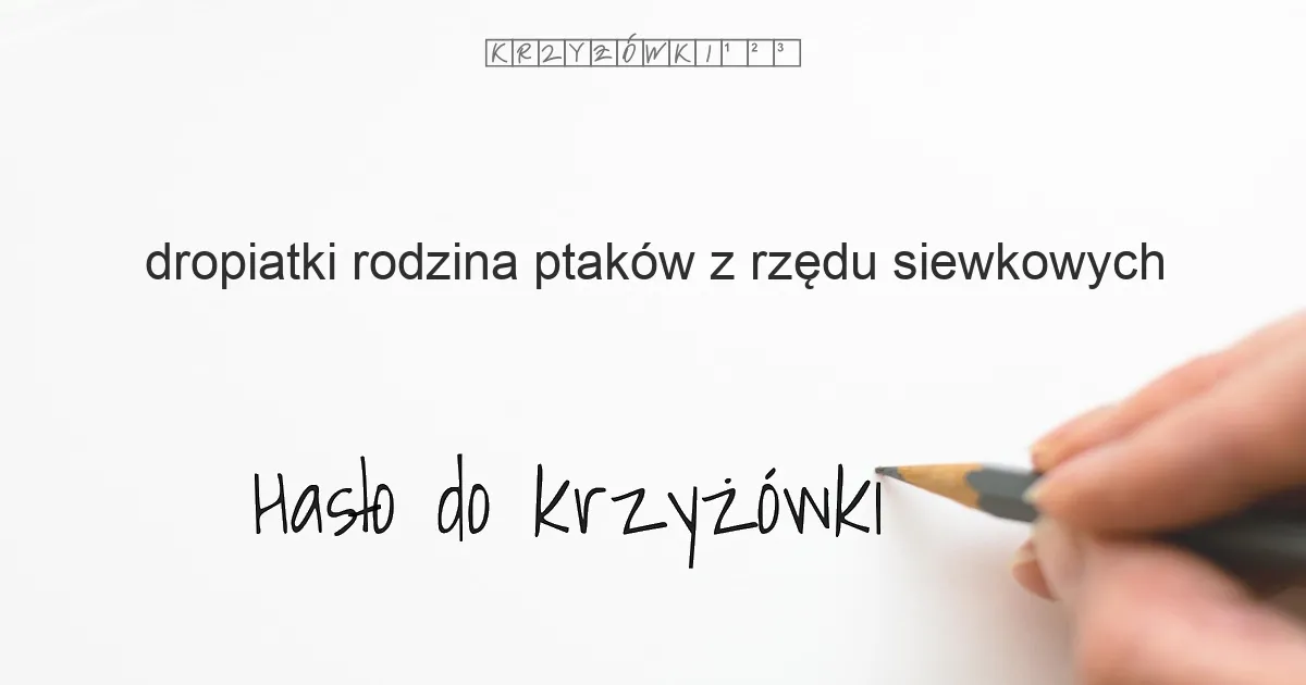 dropiatki, rodzina ptaków z rzędu siewkowych - krzyżówka - Hasło do krzyżówki