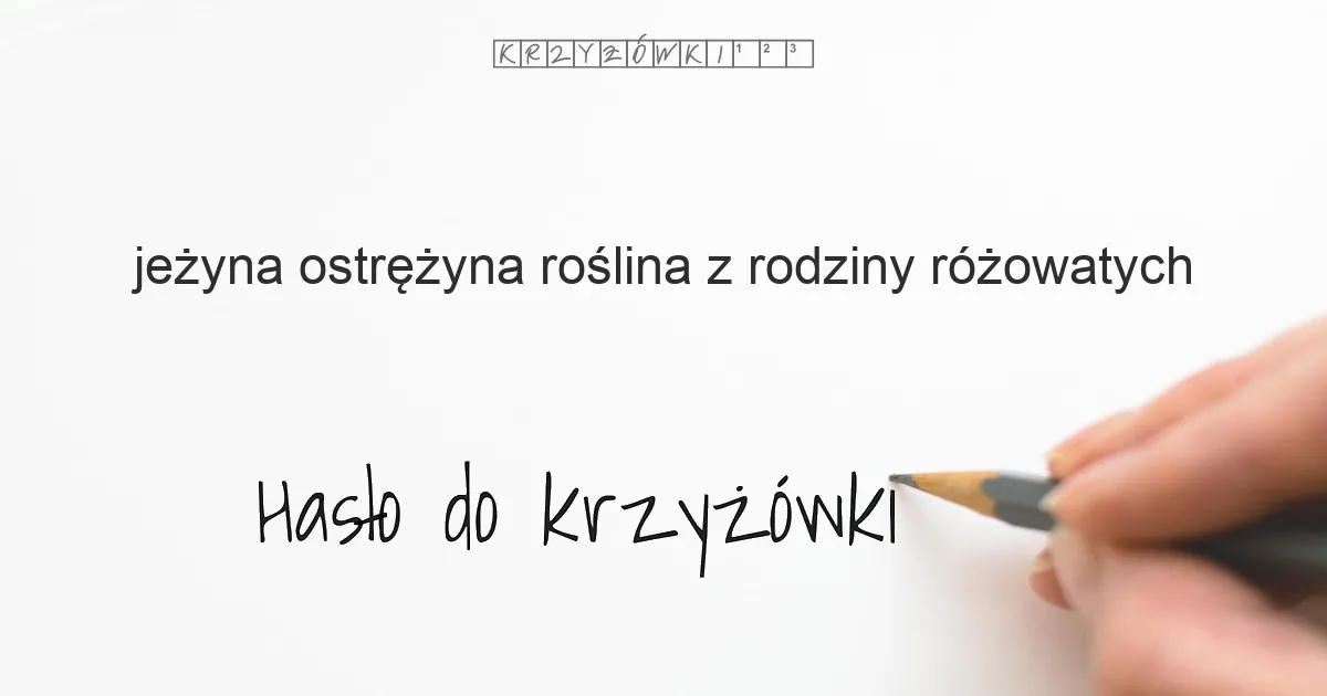 jeżyna, ostrężyna; roślina z rodziny różowatych - krzyżówka - Hasło do krzyżówki