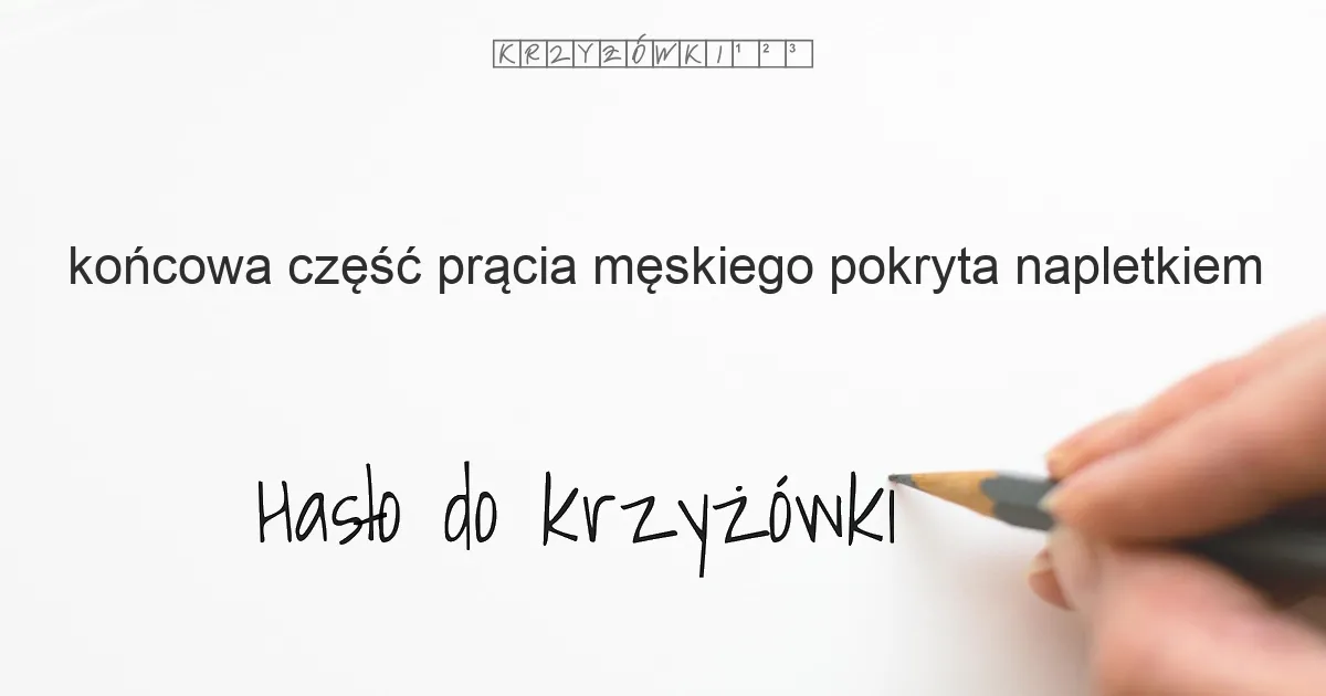 końcowa część prącia męskiego pokryta napletkiem - krzyżówka - Hasło do krzyżówki końcowa część prącia męskiego pokryta napletkiem - krzyżówka - Hasło do krzyżówki