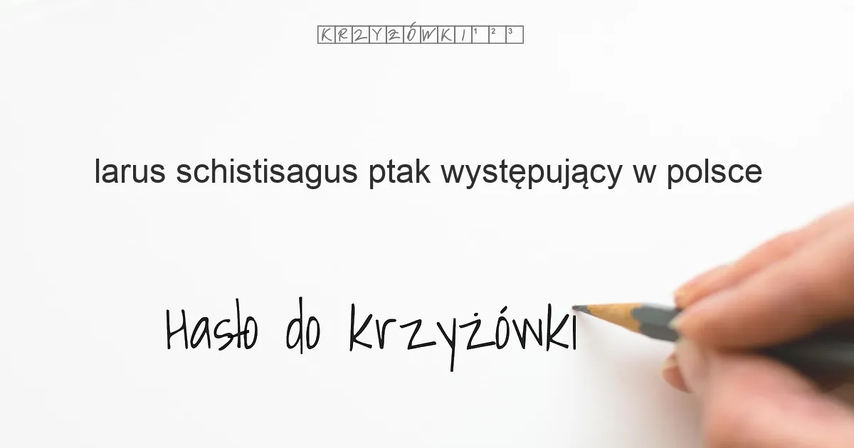 (Larus schistisagus), ptak występujący w Polsce - krzyżówka - Hasło do krzyżówki (Larus schistisagus), ptak występujący w Polsce - krzyżówka - Hasło do krzyżówki