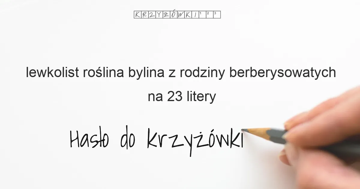 lewkolist roślina bylina z rodziny berberysowatych na 23 litery - Hasło do krzyżówki
