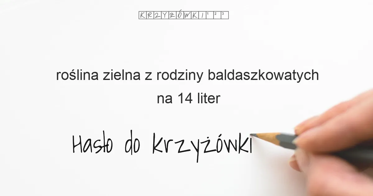 roślina zielna z rodziny baldaszkowatych na 14 liter - Hasło do krzyżówki