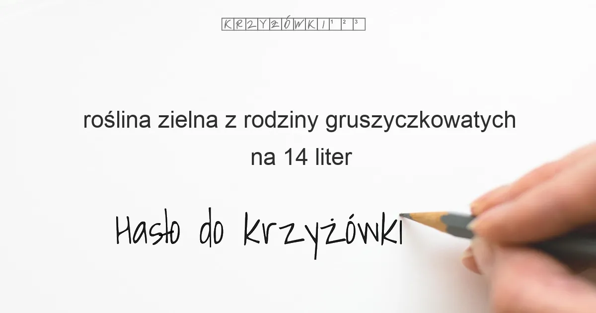 roślina zielna z rodziny gruszyczkowatych na 14 liter - Hasło do krzyżówki