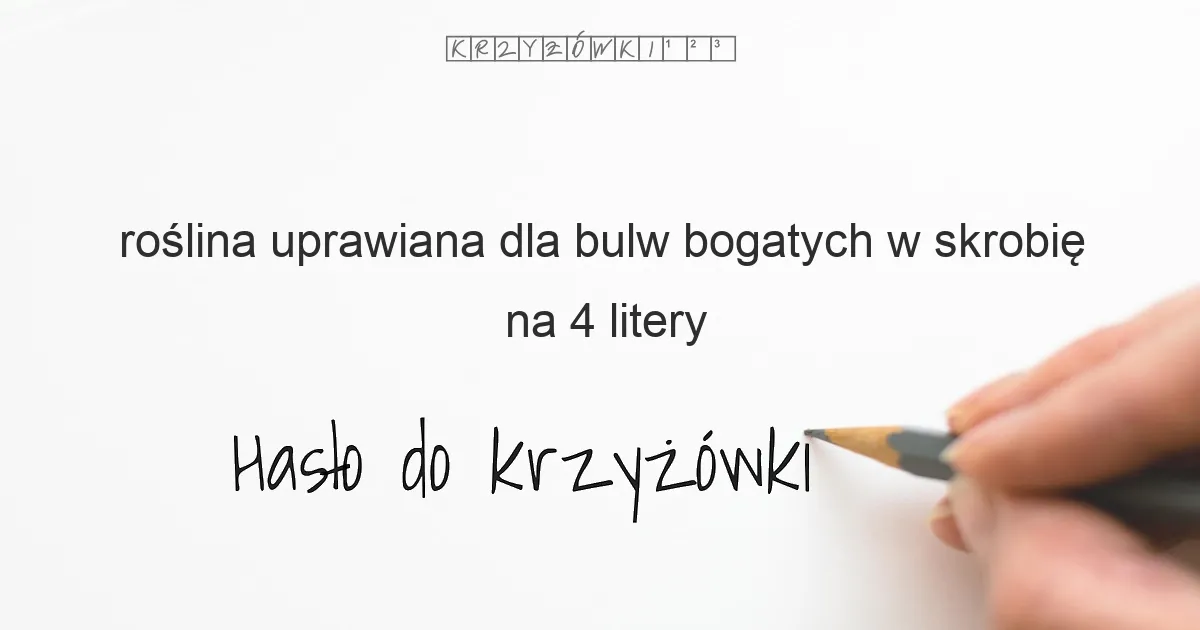 roślina uprawiana dla bulw bogatych w skrobię - krzyżówka