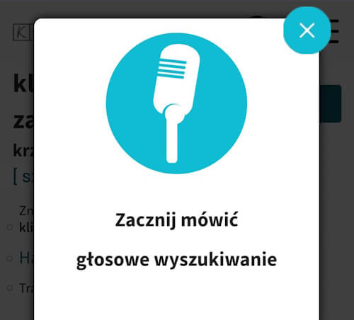 Wyszukiwanie głosowe